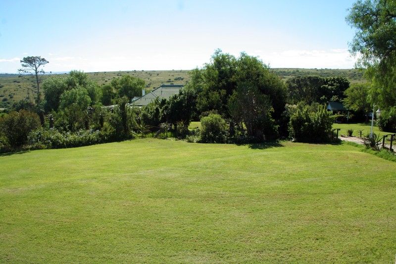 Leeuwenbosch Country House - Amakhala viltreservat Exteriör bild