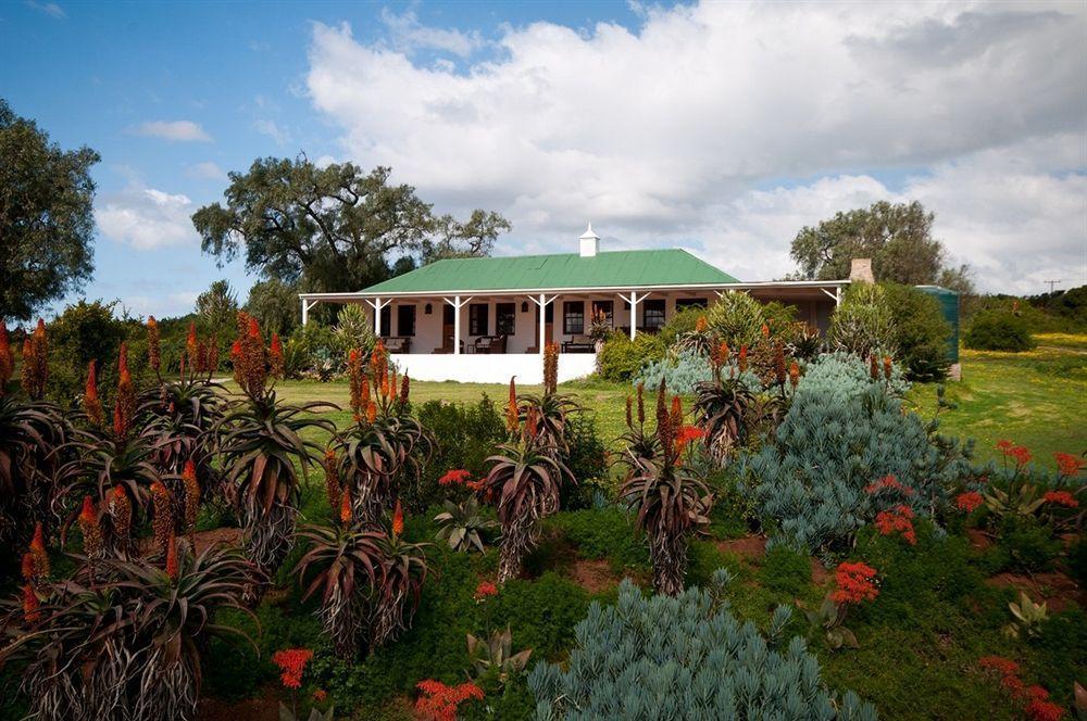 Leeuwenbosch Country House - Amakhala viltreservat Exteriör bild