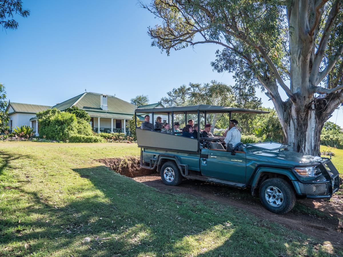 Leeuwenbosch Country House - Amakhala viltreservat Exteriör bild