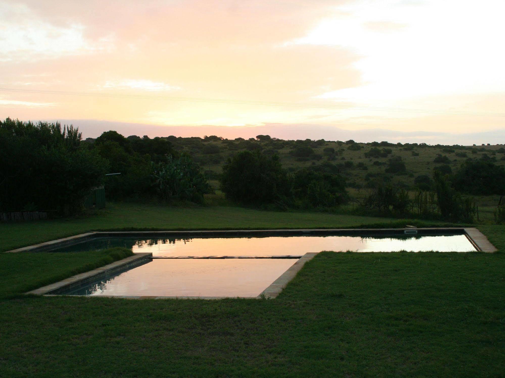 Leeuwenbosch Country House - Amakhala viltreservat Exteriör bild