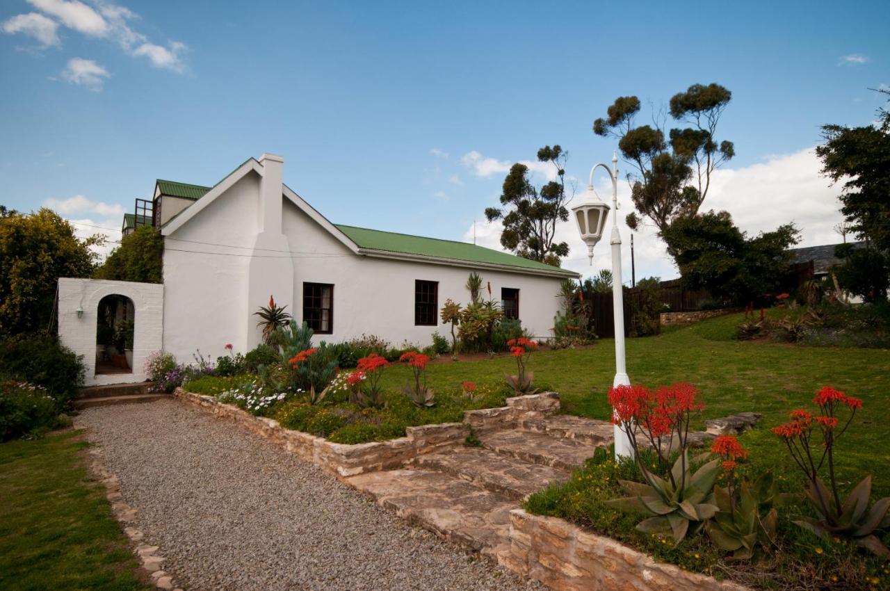 Leeuwenbosch Country House - Amakhala viltreservat Exteriör bild